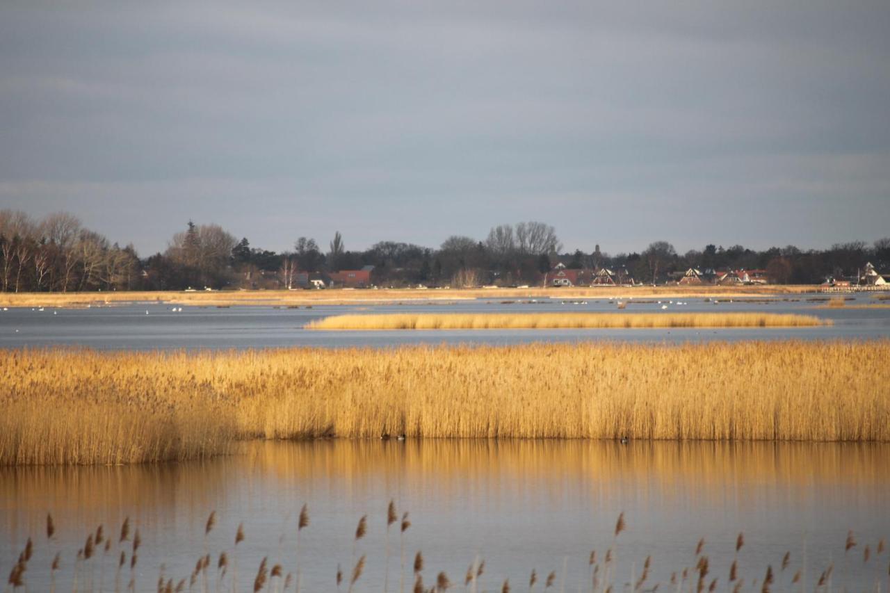 Dat Dardel Hus Born Bagian luar foto