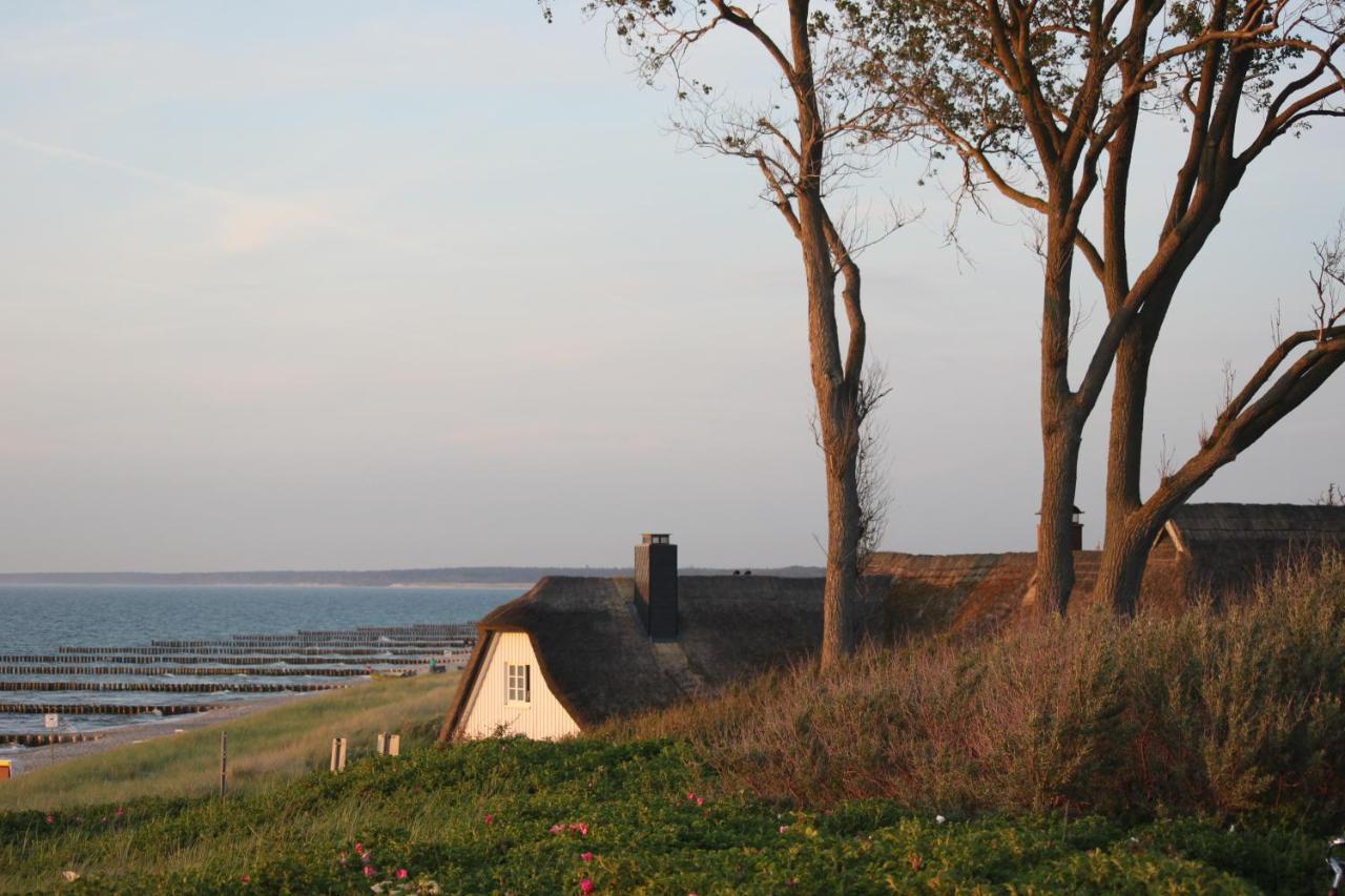 Dat Dardel Hus Born Bagian luar foto